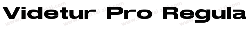 Videtur Pro Regular字体转换